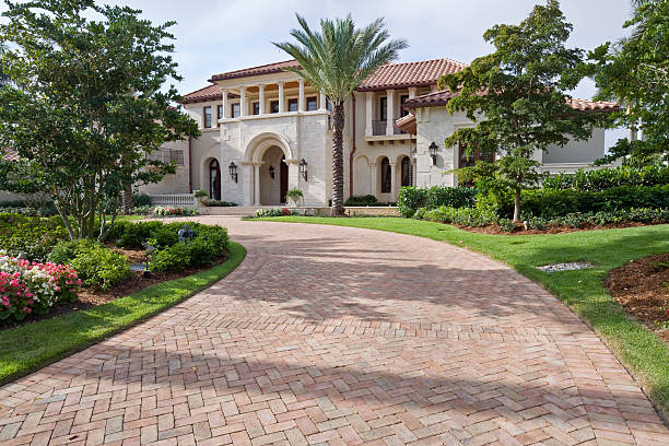 Best Driveway Paving Contractor  in Warroad, MN